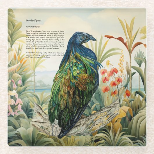 Dramatische handgeschilderde Nicobarduif Glazen Onderzetter (Voorkant)