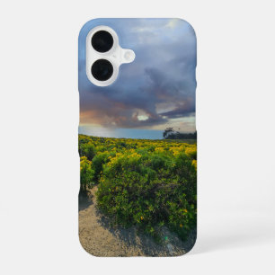 Dramatische hemel bij zonsondergang bij Point Dume iPhone 16 Hoesje