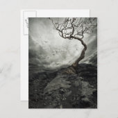 Dramatische hemel over oude eenzame boom briefkaart (Voorkant / Achterkant)