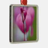 Dramatische kleur en vorm van het bloedingshart metalen ornament (Rechts)