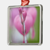 Dramatische kleur en vorm van het bloedingshart metalen ornament (Links)