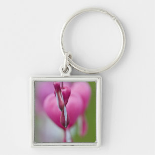 Dramatische kleur en vorm van het bloedingshart sleutelhanger