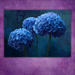 Dramatische Krachtige Blauwe Hortensia Bloem Botan Poster