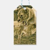 Dramatische Leeuwin Safari Natuur Kunst Cadeaulabel (Achterkant)