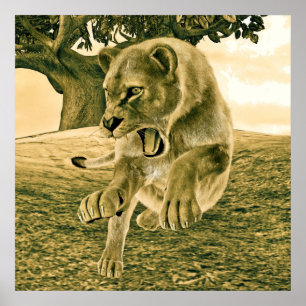 Dramatische Leeuwin Safari Natuur Kunst Poster
