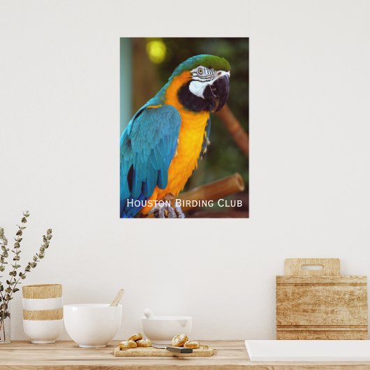 Dramatische Macaw Poster (Keuken)