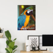 Dramatische Macaw Poster (Thuiskantoor)