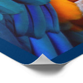 Dramatische Macaw Poster (Hoek)