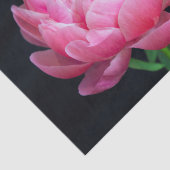 Dramatische Mooie Roze Pioen Tissuepapier (Detail)