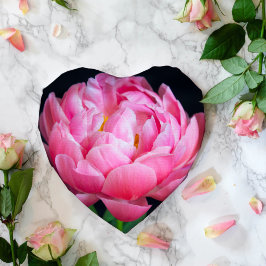 Dramatische Mooie Roze Pioen Tissuepapier