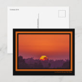 Dramatische Oranje zonnepalm Sun Pink Summer Briefkaart (Voorkant / Achterkant)