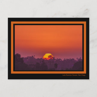 Dramatische Oranje zonnepalm Sun Pink Summer Briefkaart