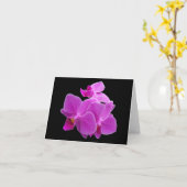 Dramatische Paarse orchideeën op een zwarte Kaart (Gele Bloem)