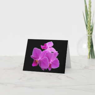Dramatische Paarse orchideeën op een zwarte Kaart