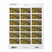 Dramatische papaverveld etiket (Full Sheet)