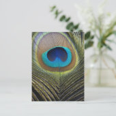 Dramatische Peacock-doether Briefkaart (Staand voorkant)