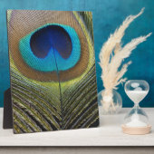 Dramatische Peacock-doether Fotoplaat (Zijkant)