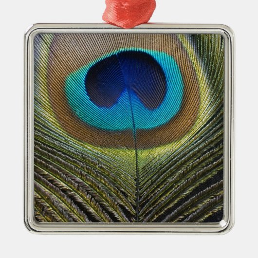 Dramatische Peacock-doether Metalen Ornament (Voorkant)