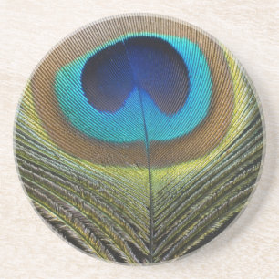 Dramatische Peacock-doether Zandsteen Onderzetter
