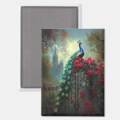 Dramatische Peacock Red Roses Gothic Magneet (Voorkant / Achterkant)