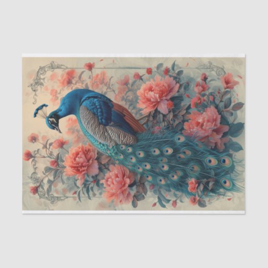 Dramatische Posing Peacock Tissuepapier (Voorkant)