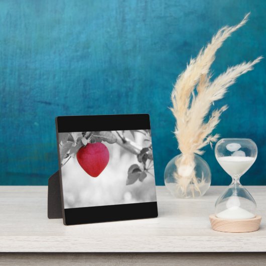 Dramatische rode kever, Apple Fotoplaat (Insitu)