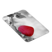 Dramatische rode kever, Apple Magneet (Rechterzijde)