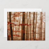 Dramatische rode wintersneeuwloze sneeuwbossen briefkaart (Voorkant / Achterkant)