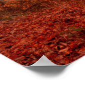 Dramatische rode wintersneeuwloze sneeuwbossen poster (Hoek)