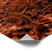 Dramatische rode wintersneeuwloze sneeuwbossen poster (Hoek)