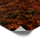 Dramatische rode wintersneeuwloze sneeuwbossen poster (Hoek)