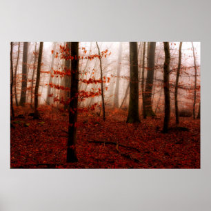 Dramatische rode wintersneeuwloze sneeuwbossen poster