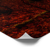 Dramatische rode wintersneeuwloze sneeuwbossen poster (Hoek)