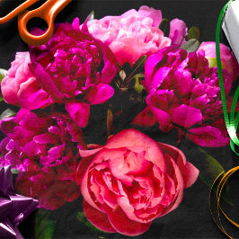 Dramatische Roze En Paarse Pioenrozen Tissuepapier