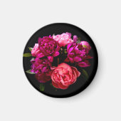 Dramatische roze en Paarse volken Magneet (Voorkant)