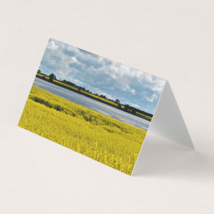 Dramatische Streatham Beauty Blank Wenskaart Kaart