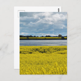 Dramatische Streatham Beauty Briefkaart