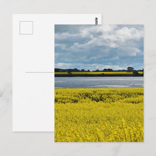 Dramatische Streatham Beauty Briefkaart (Voorkant / Achterkant)