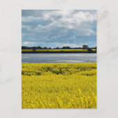 Dramatische Streatham Beauty Briefkaart (Voorkant)