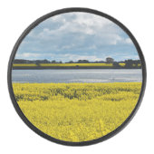 Dramatische Streatham Beauty Hockey Puck (Voorkant)