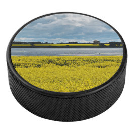 Dramatische Streatham Beauty Hockey Puck