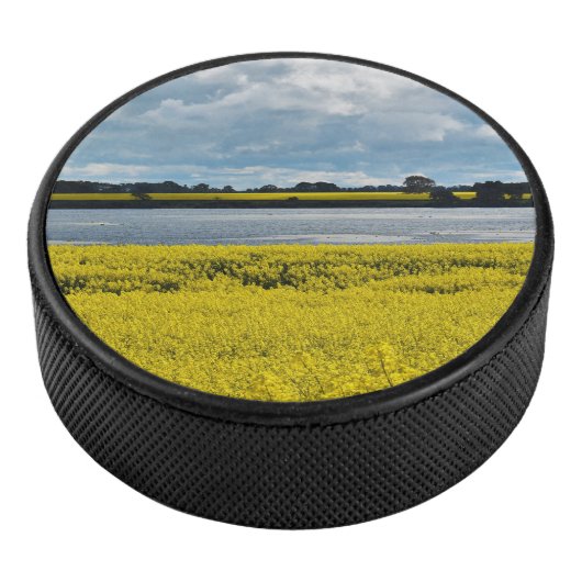 Dramatische Streatham Beauty Hockey Puck (3/4)