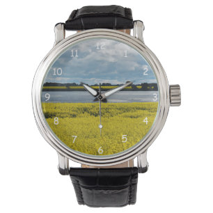 Dramatische Streatham Beauty Horloge