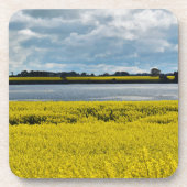 Dramatische Streatham Beauty Onderzetters (Voorkant)