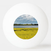 Dramatische Streatham Beauty Pingpongbal (Achterkant)