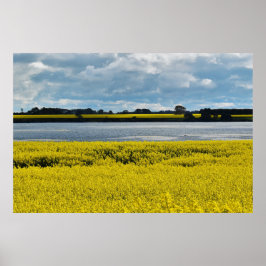 Dramatische Streatham Beauty Poster