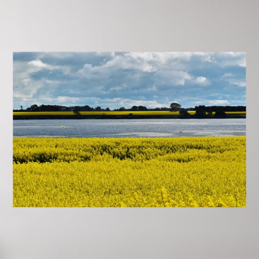 Dramatische Streatham Beauty Poster (Voorkant)