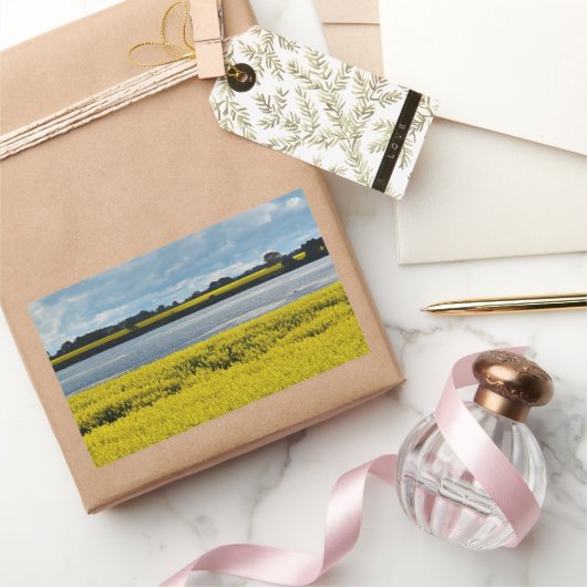 Dramatische Streatham Beauty Rechthoekige Sticker (Geschenken)