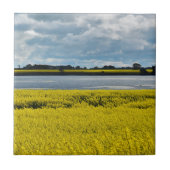 Dramatische Streatham Beauty Tegeltje (Voorkant)