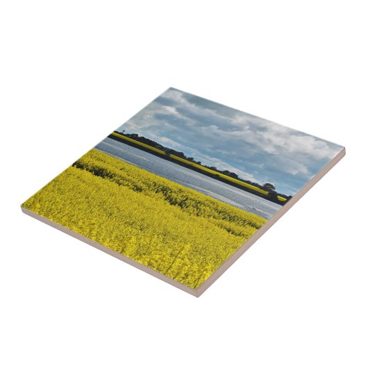 Dramatische Streatham Beauty Tegeltje (Zijkant)